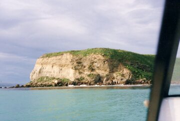 Wyspa niedaleko zatoki w Motanau. Zdjcie w drodze odzi na nurkowanie.
