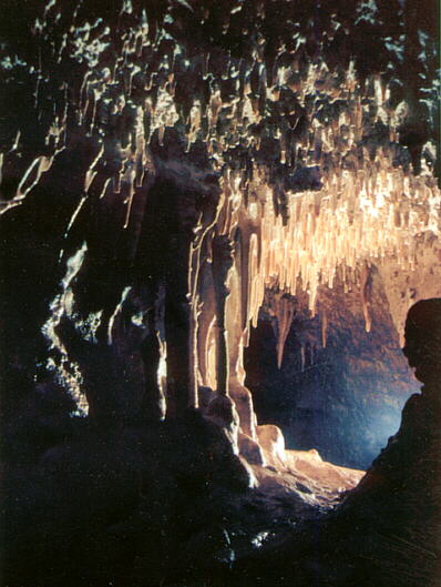 Wierna Cave, photo: M. Wilk