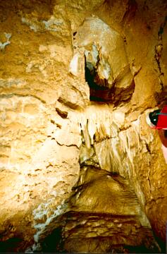 Jaskinia Wiercica