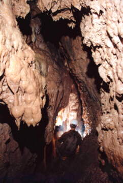 Porcelanowa Cave in Wojcieszw, photo: A. Czernenko