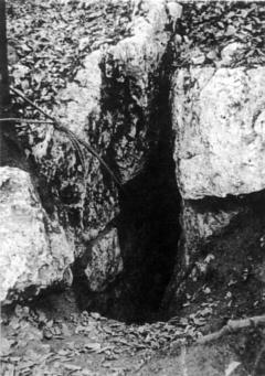 Otwor jaskini Wiernej, fot. M. Szelerewicz